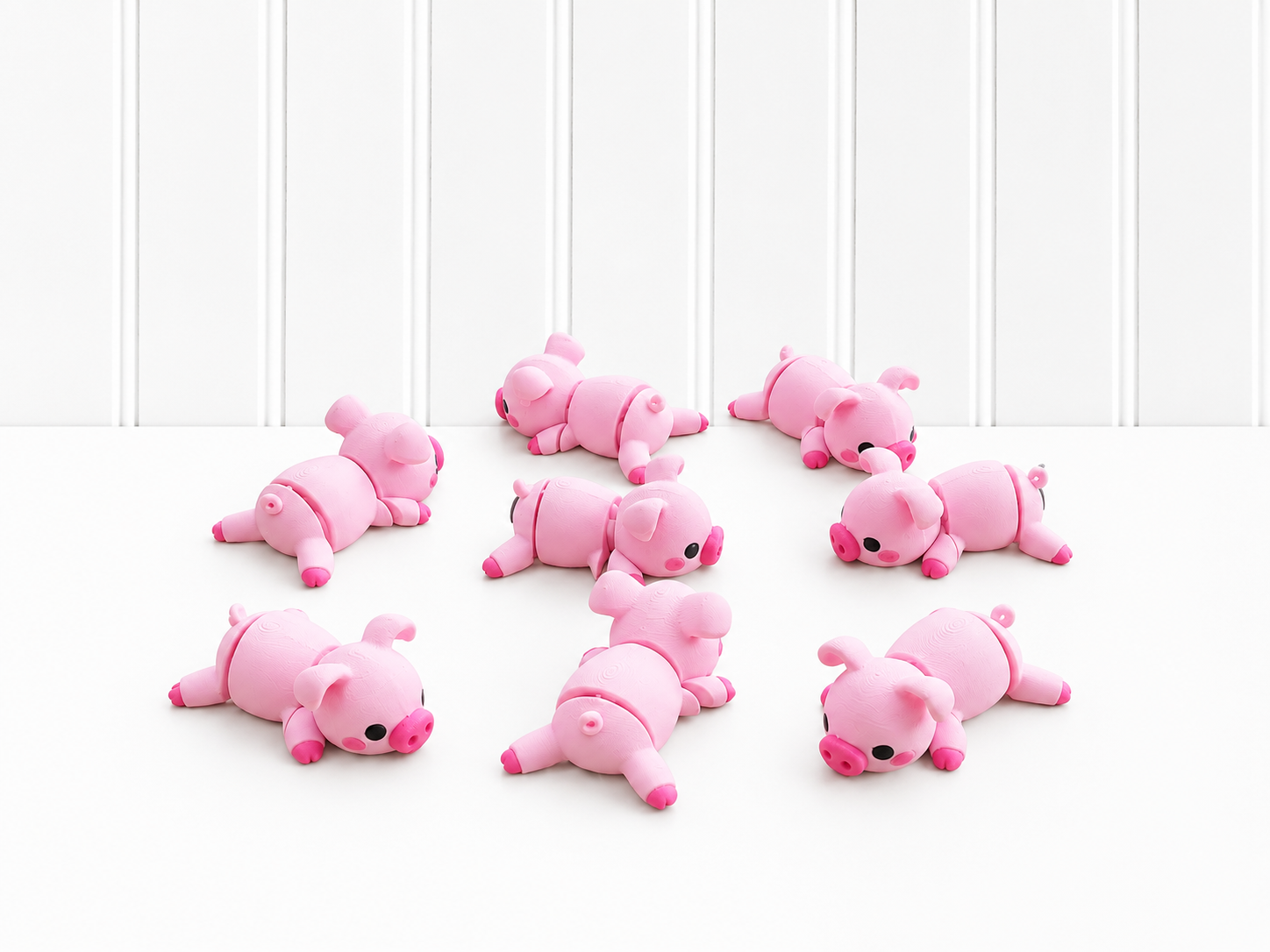 Zookis